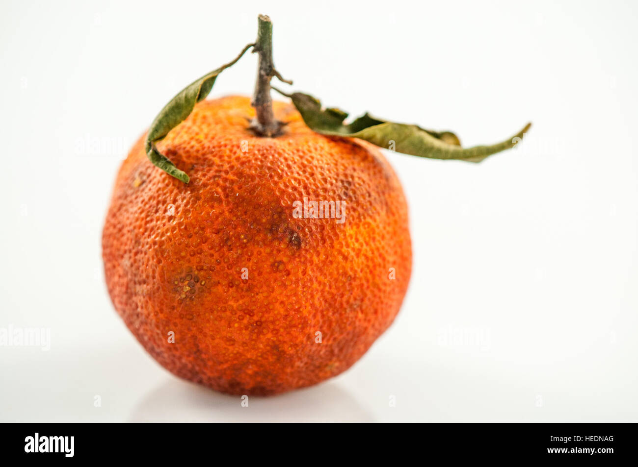 Mandarin overripe over a white background Stock Photo