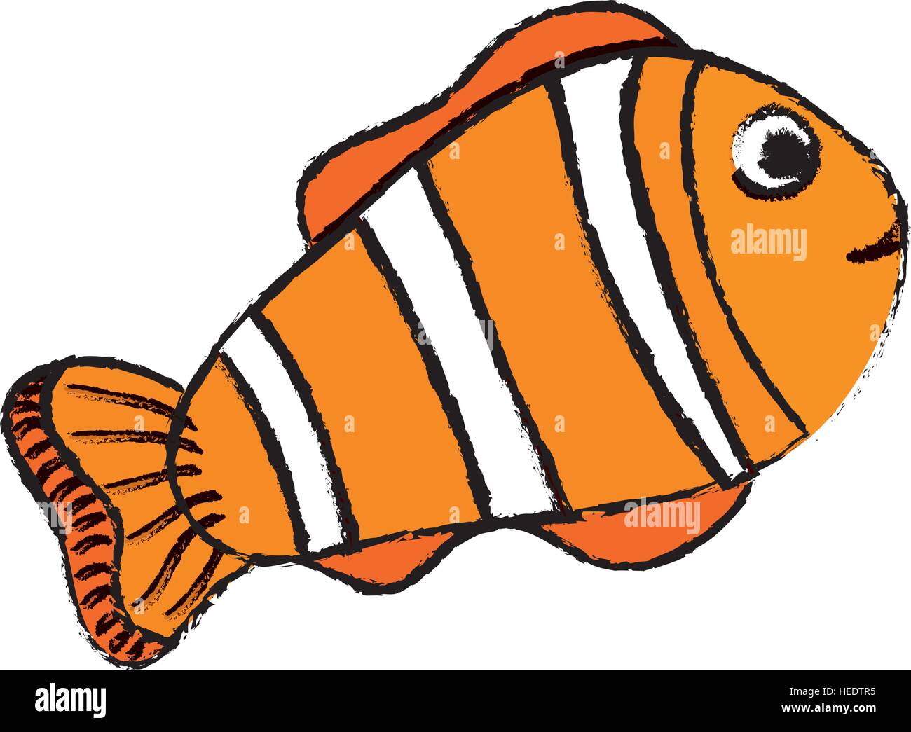 Clown fish cartoon icon vector illustration graphic design Stock