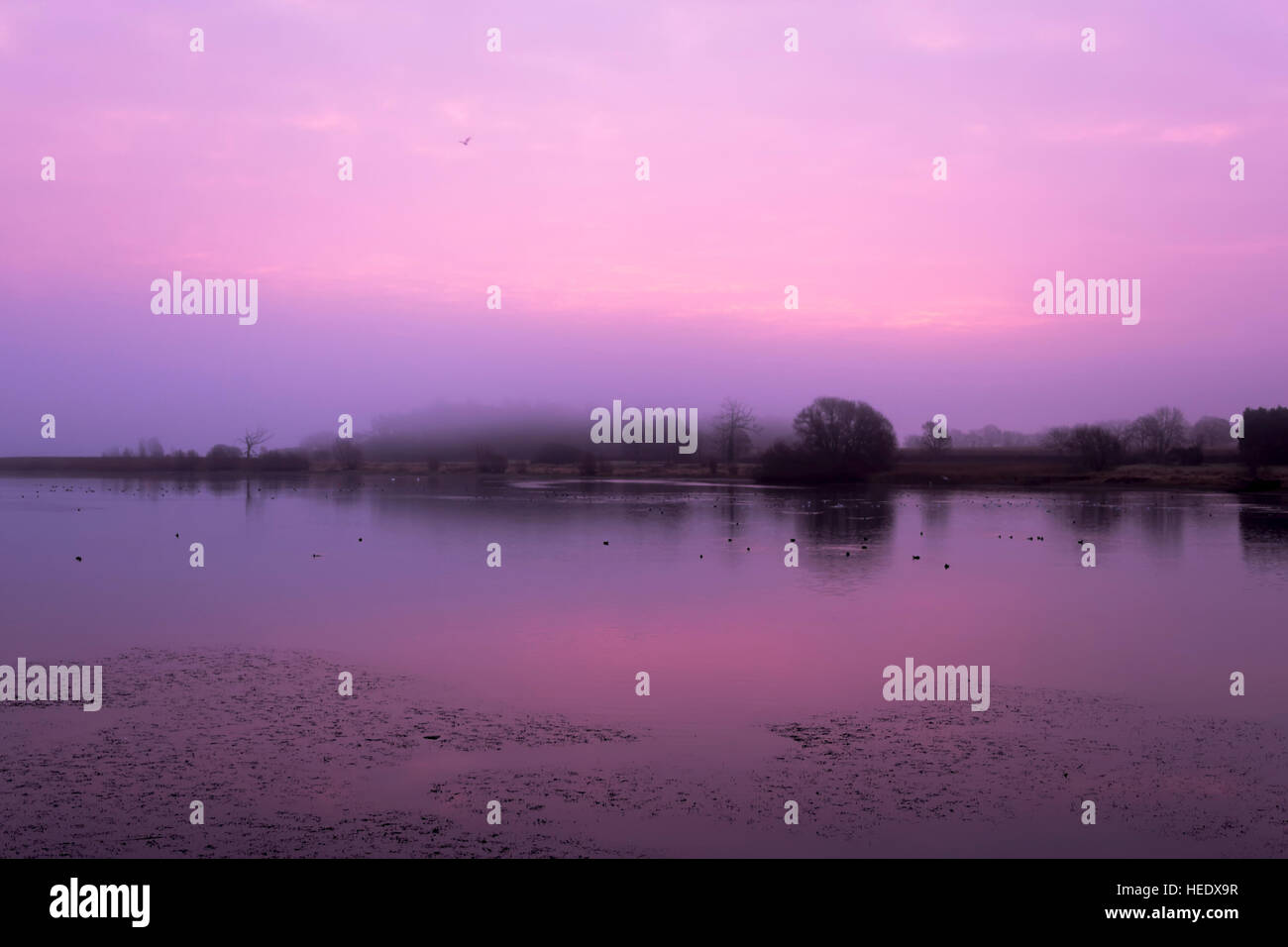 Chew Valley Lake, sunrise, fogy morning winter, UK, BS40 Stock Photo
