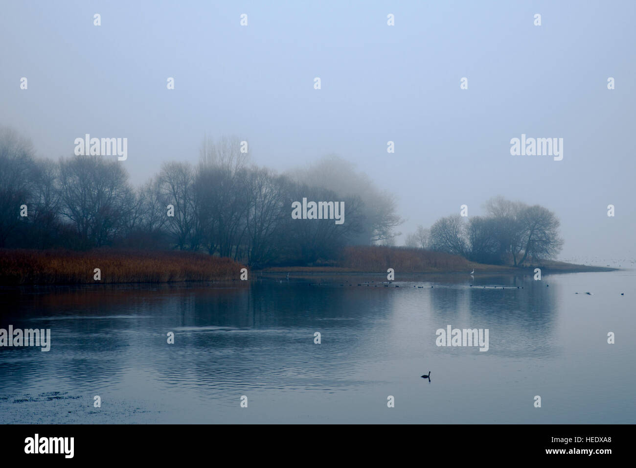 Fogy valley hi-res stock photography and images - Alamy