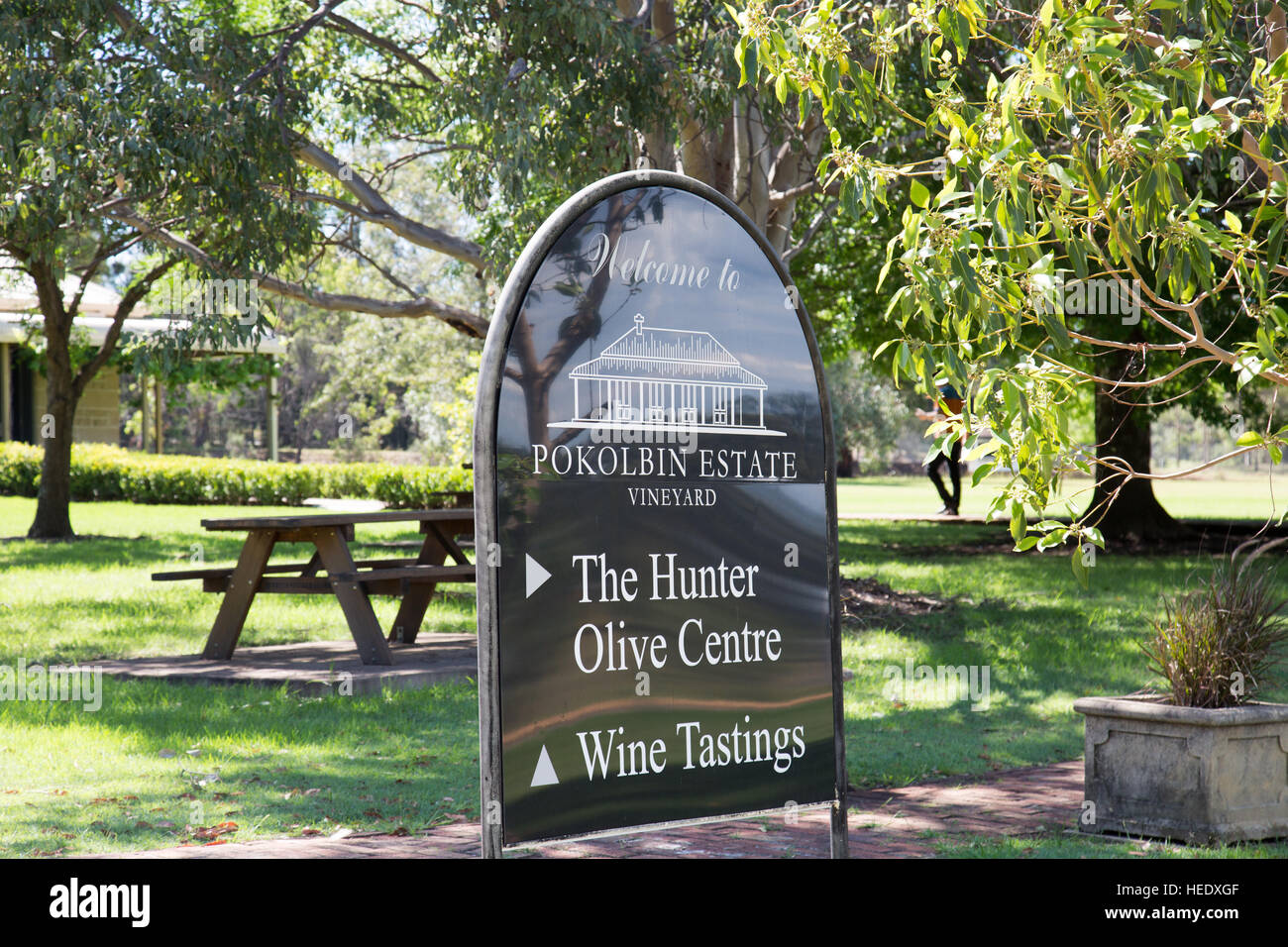 Pokolbin estate vineyard and olive oil centre in the Hunter Valley,New