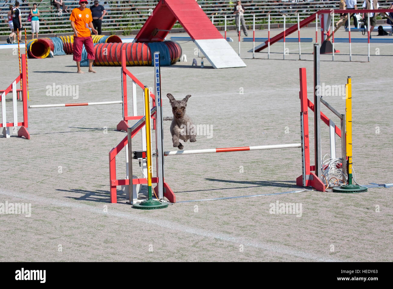 Dog agility course hi-res stock photography and images - Alamy