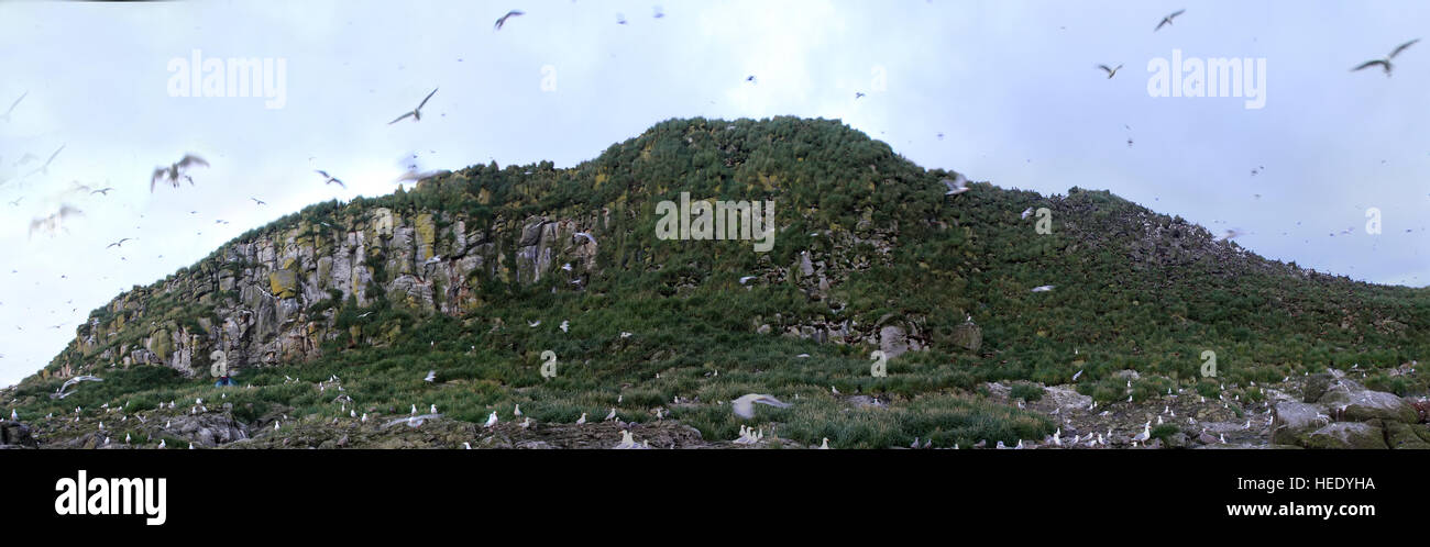 Geological structure of Earth 2. Effusive rock in Pacific ocean (Aleutian volcanic chain) is volcanic origin, composed of basalts (basalt columnar joi Stock Photo