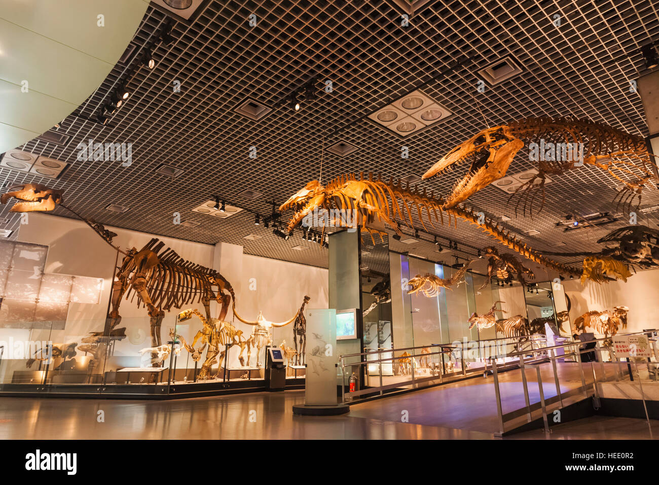 Japan, Honshu, Tokyo, Ueno Park, National Museum of Nature and Science