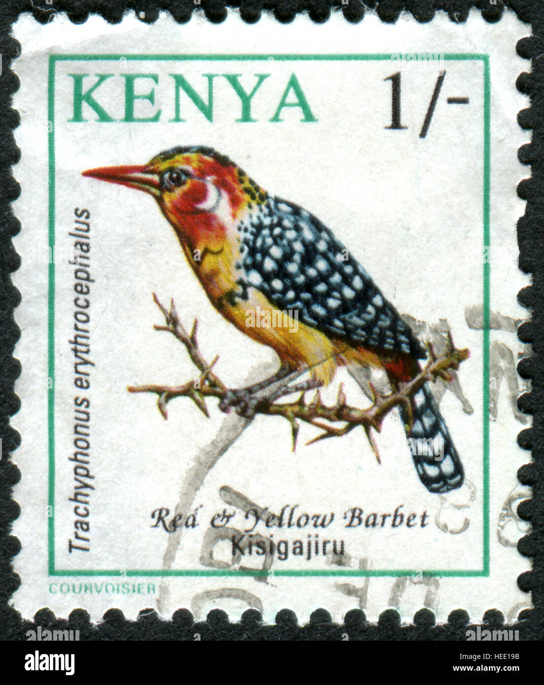 KENYA - CIRCA 1993: A stamp printed in Kenya, shows a bird Red-and-yellow Barbet (Trachyphonus erythrocephalus), circa 1993 Stock Photo