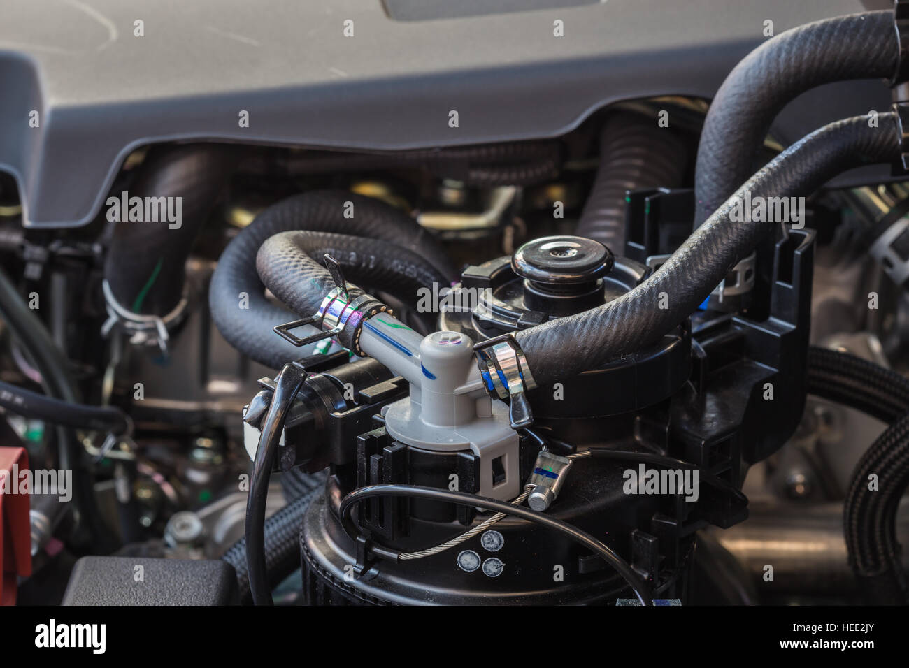 Close up detail of new diesel car engine Stock Photo