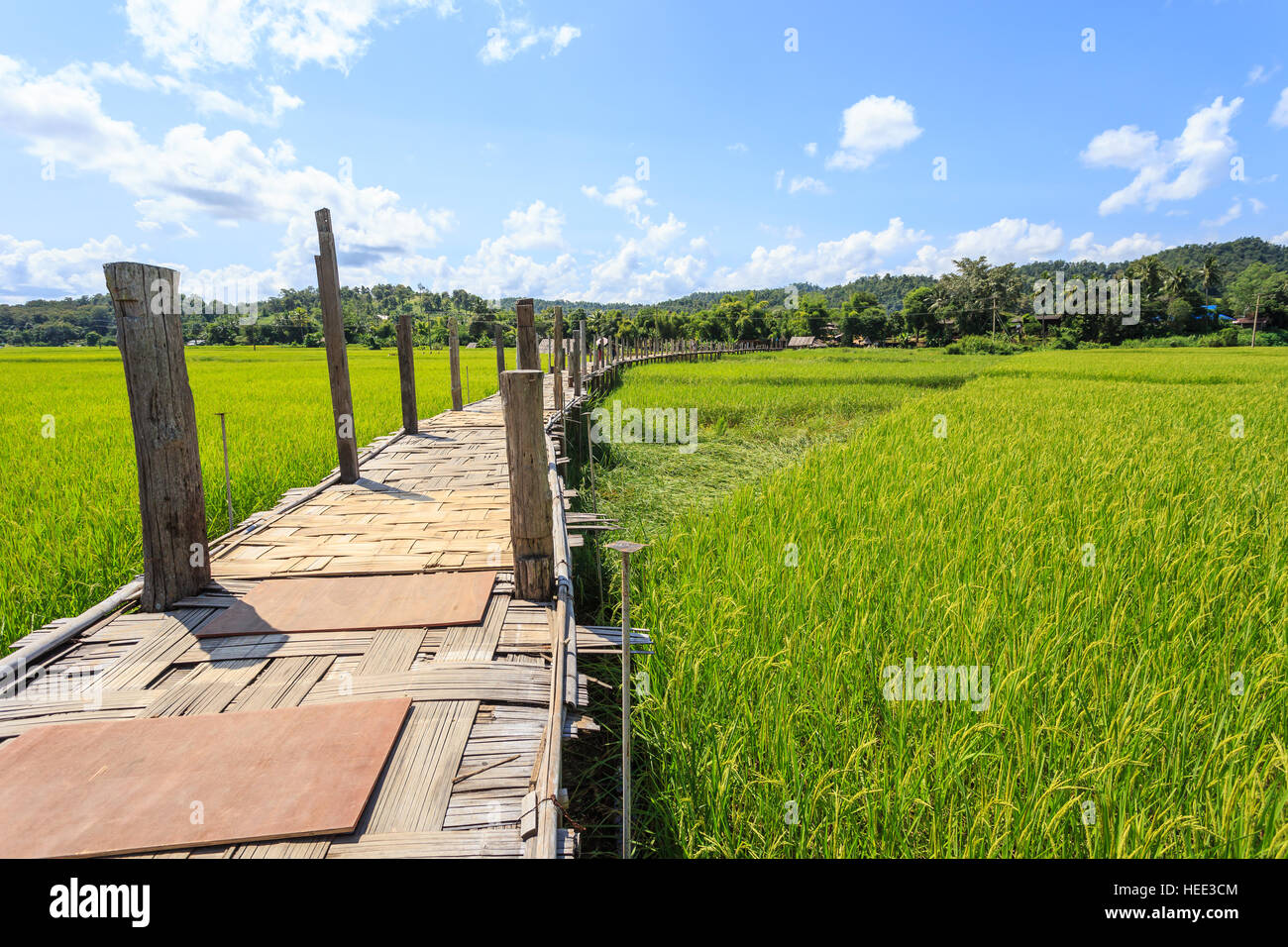 Bamboo bridge named Su Tong Pae made by monk in Buddhist of Mae Hong Son-Thailand. The famous tourism religion place of Northern Thailand Stock Photo