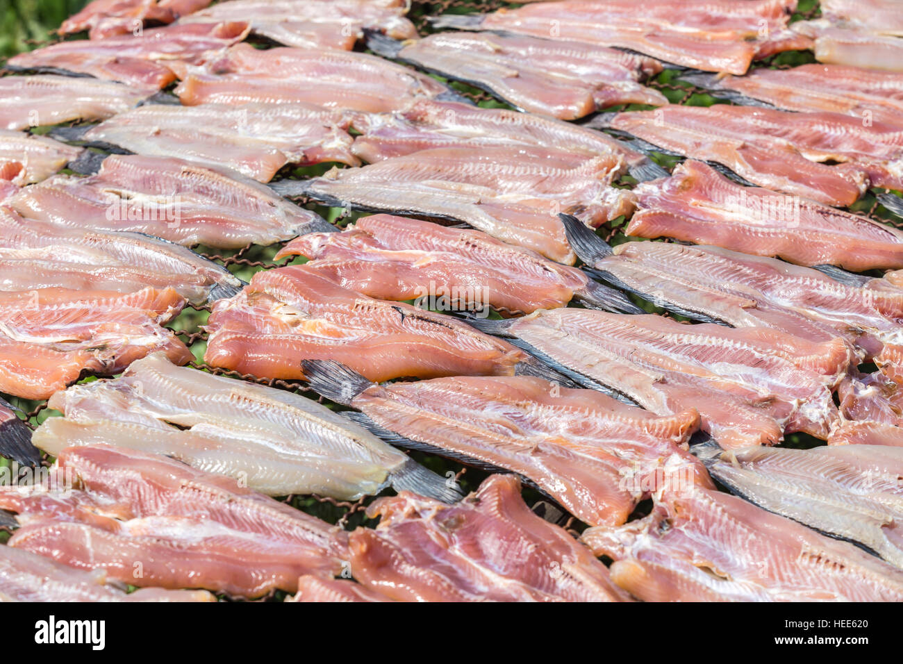 New fish dried under the sun, Striped snakehead fish dried prepare for