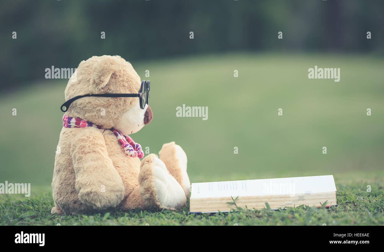Close up lovely brown teddy bear wear glasses with book sitting on ...