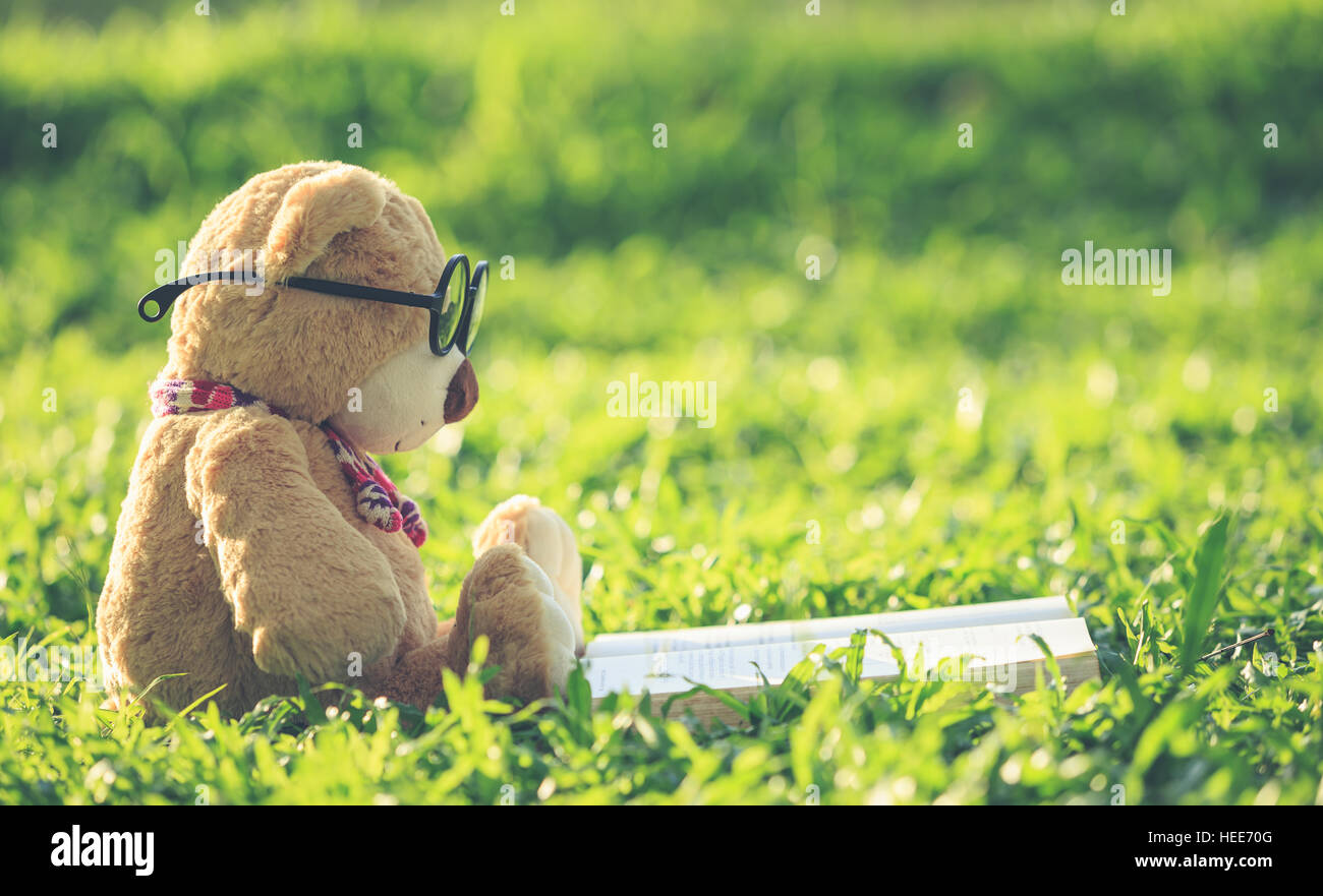 foretage Postimpressionisme grus Teddy bear with glasses hi-res stock photography and images - Alamy