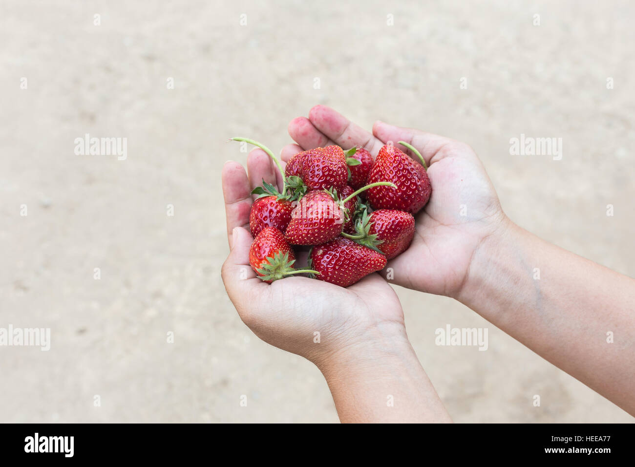 Close up hand holding strawberry on ground background Stock Photo - Alamy