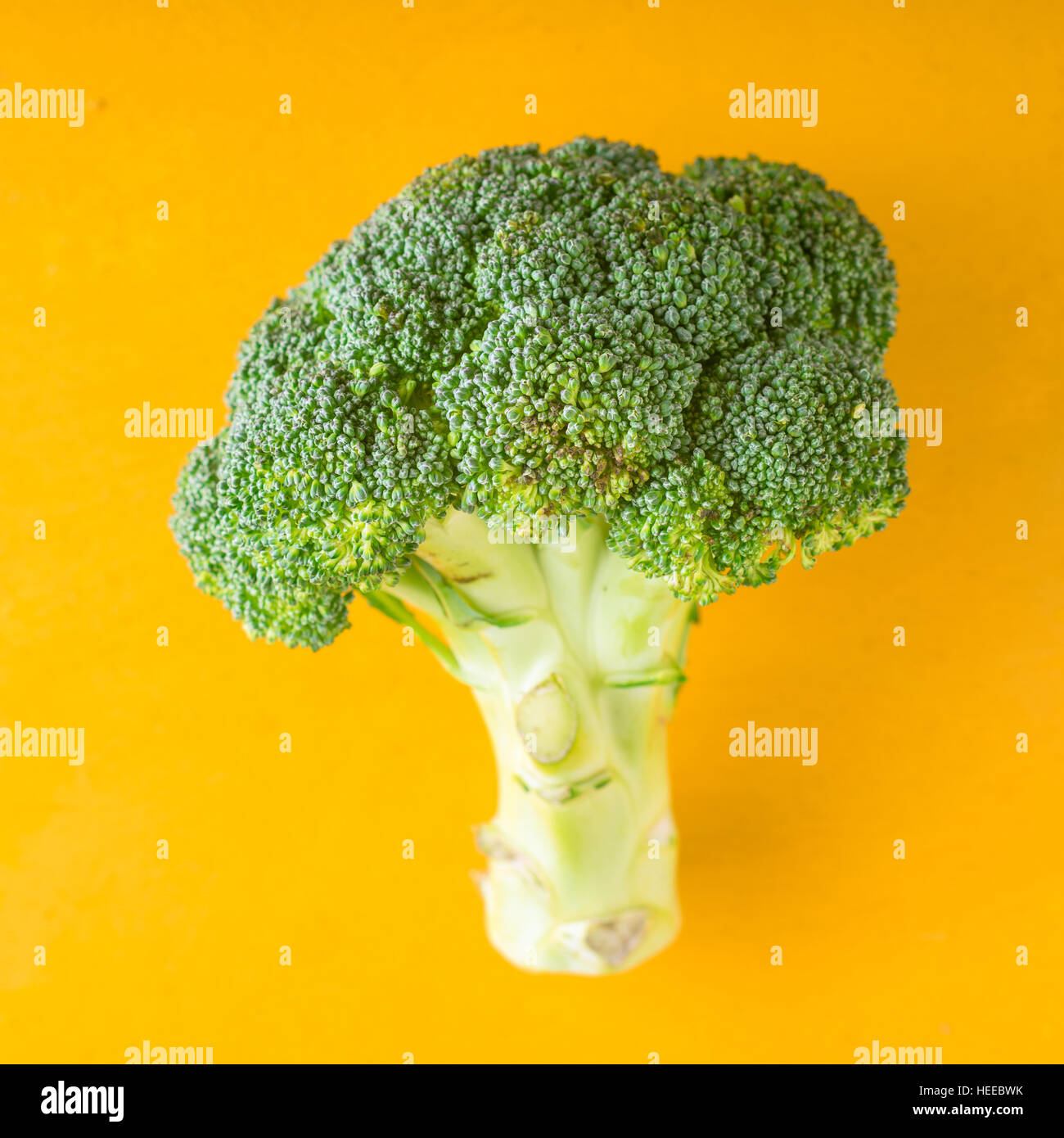 Farmer broccoli on a yellow background square Stock Photo
