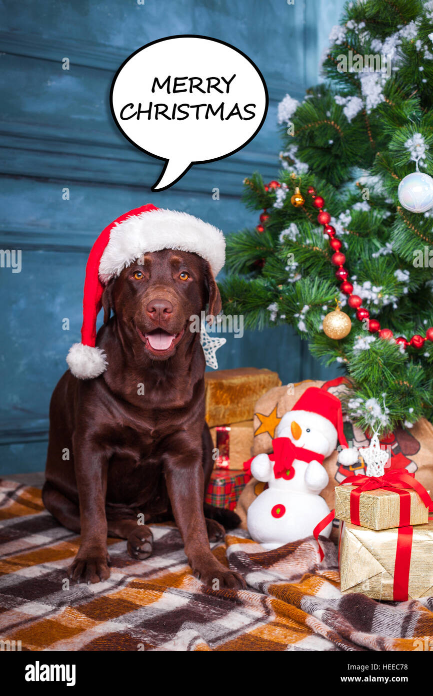 black labrador christmas gifts