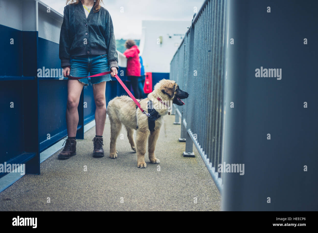 Dog Ship Stock Photos & Dog Ship Stock Images - Alamy