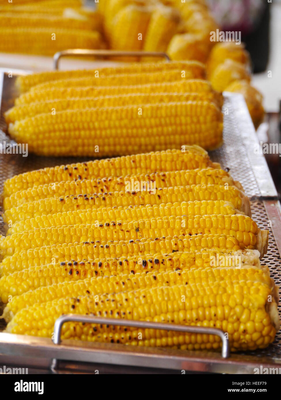 corn of the cob Stock Photo Alamy