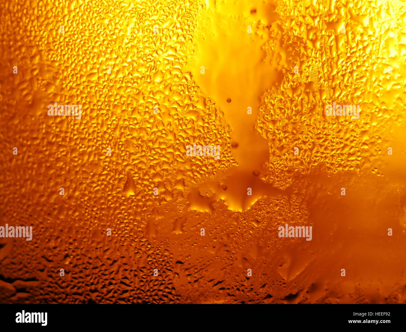 beer fresh cold Stock Photo Alamy