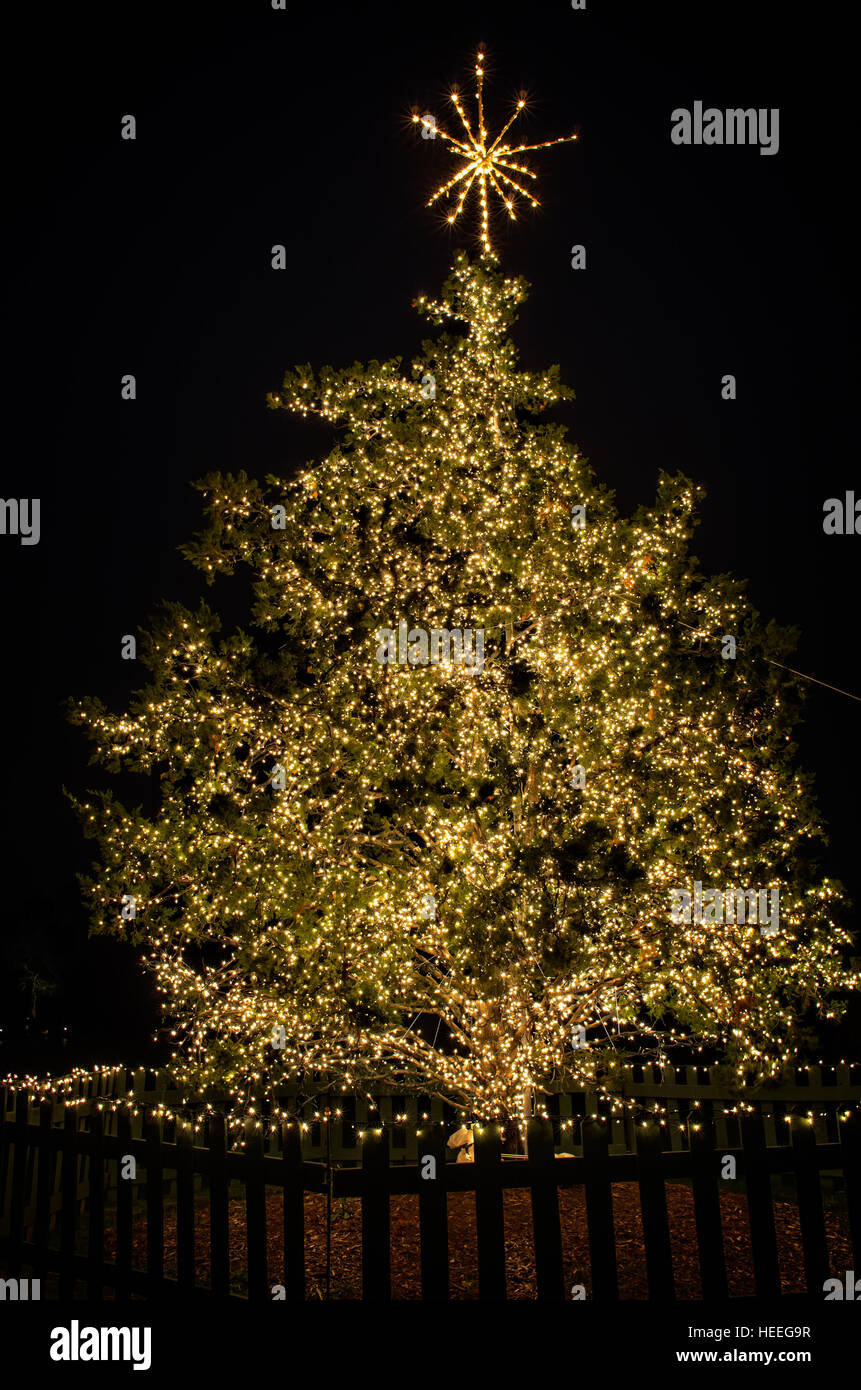 Christmas Tree shot in a park by Lake Woodlands TX Stock Photo