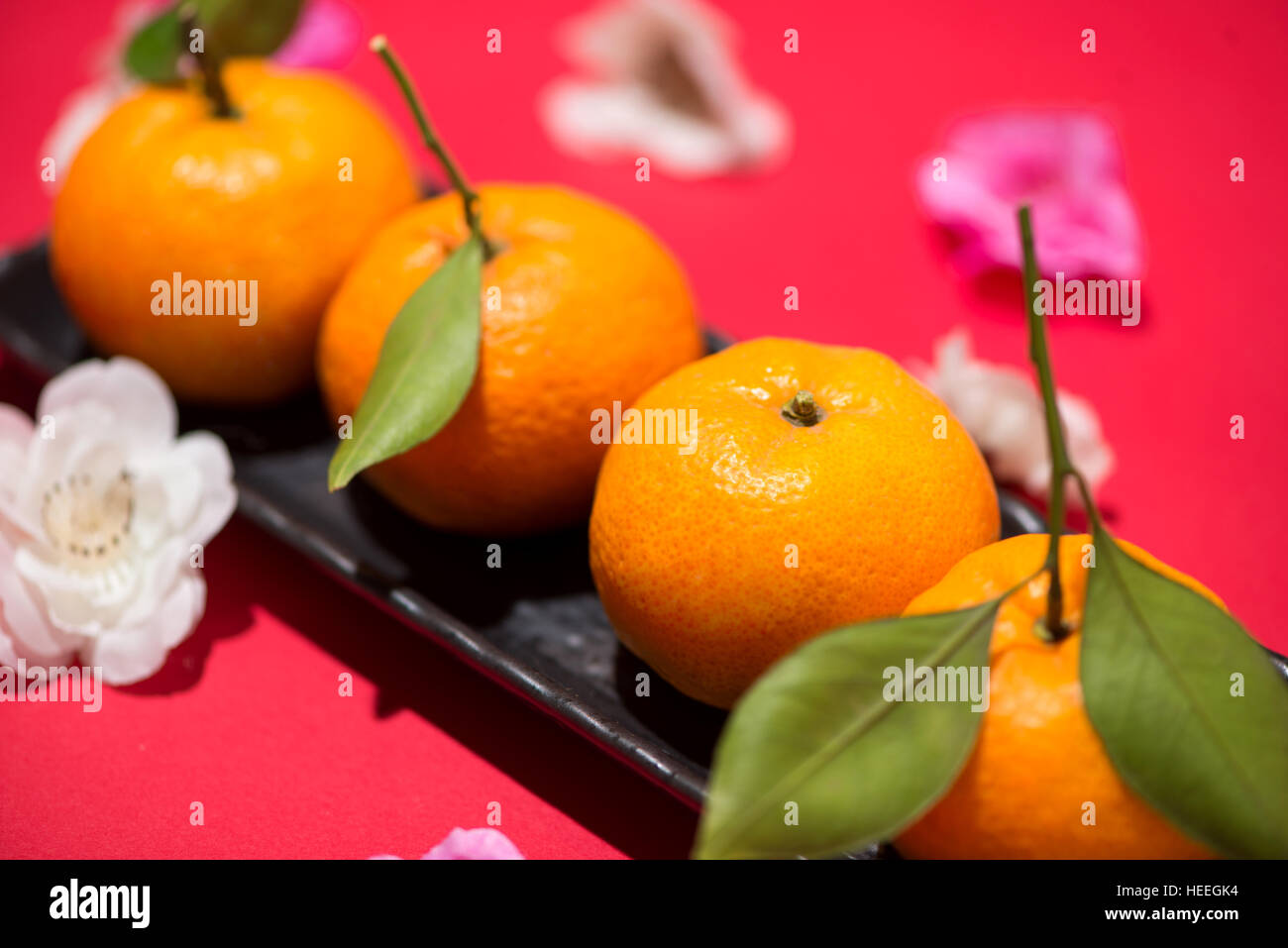 Closeup Chinese new year tangerine oranges Stock Photo