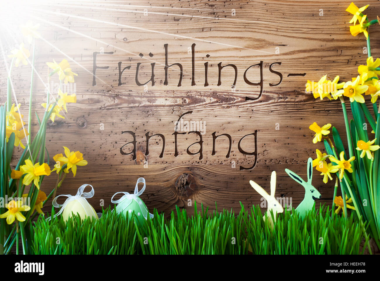 Sunny Easter Decoration, Gras, Fruehlingsanfang Means Beginning Of Spring Stock Photo