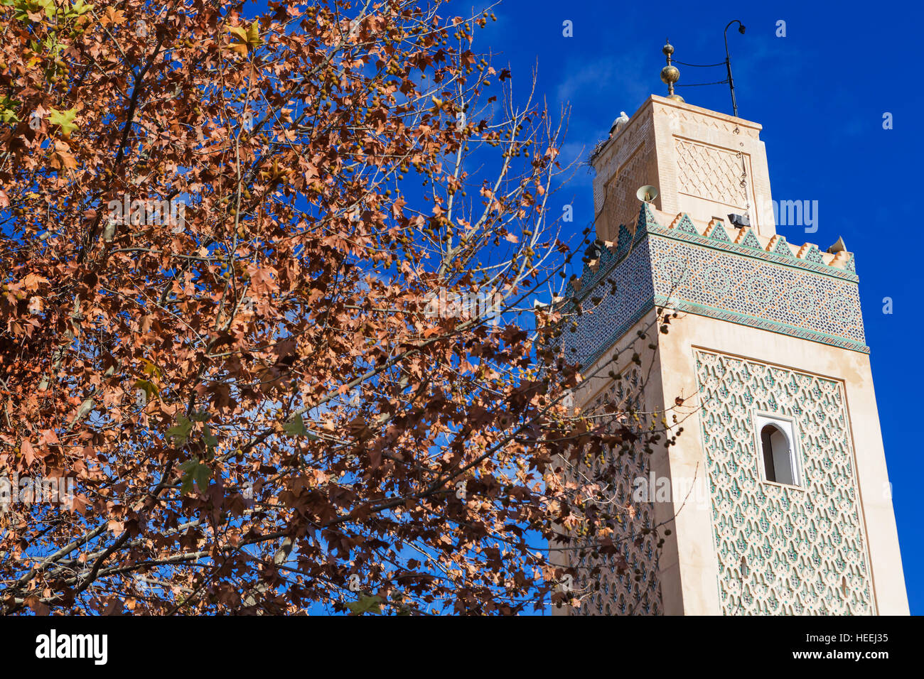 Mosque, New medina, Fes, Morocco Stock Photo