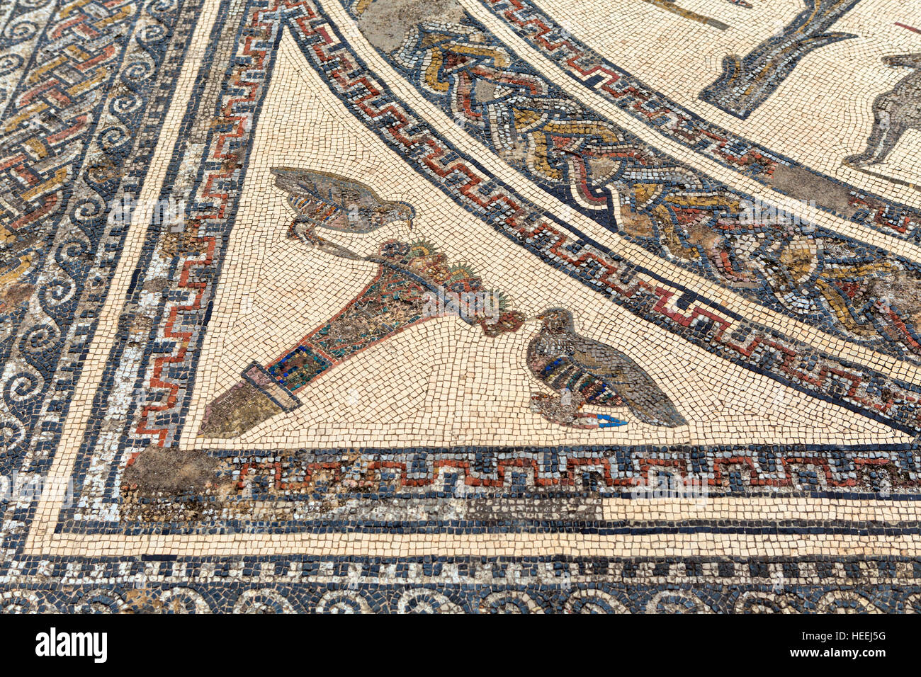 Floor mosaic, Roman ruins, Volubilis, Morocco Stock Photo