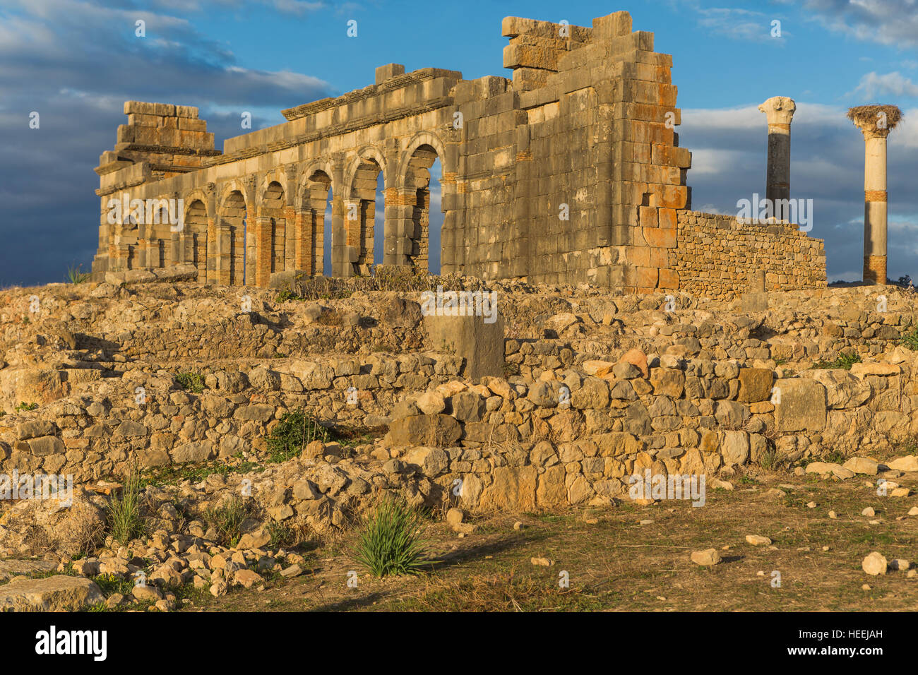Basilica, Roman ruins, Volubilis, Morocco Stock Photo