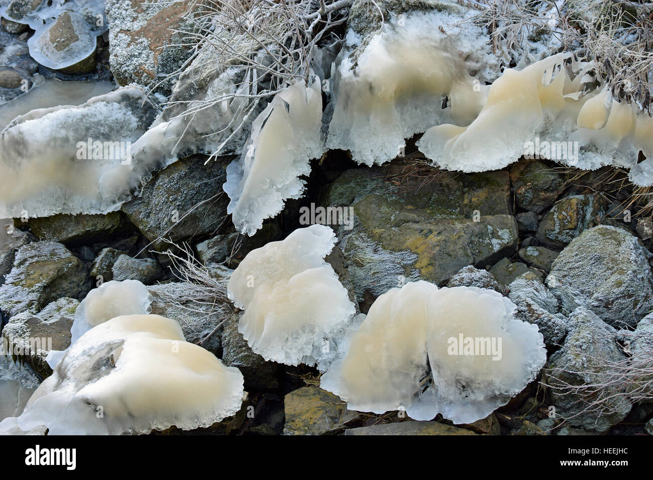 Beautiful shapes hires stock photography and images Alamy