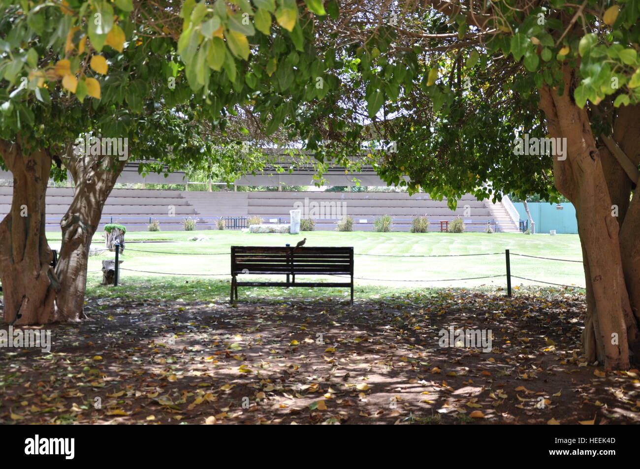 Bench Between Trees Leaves Solitude Peaceful Environment Green Stock Photo