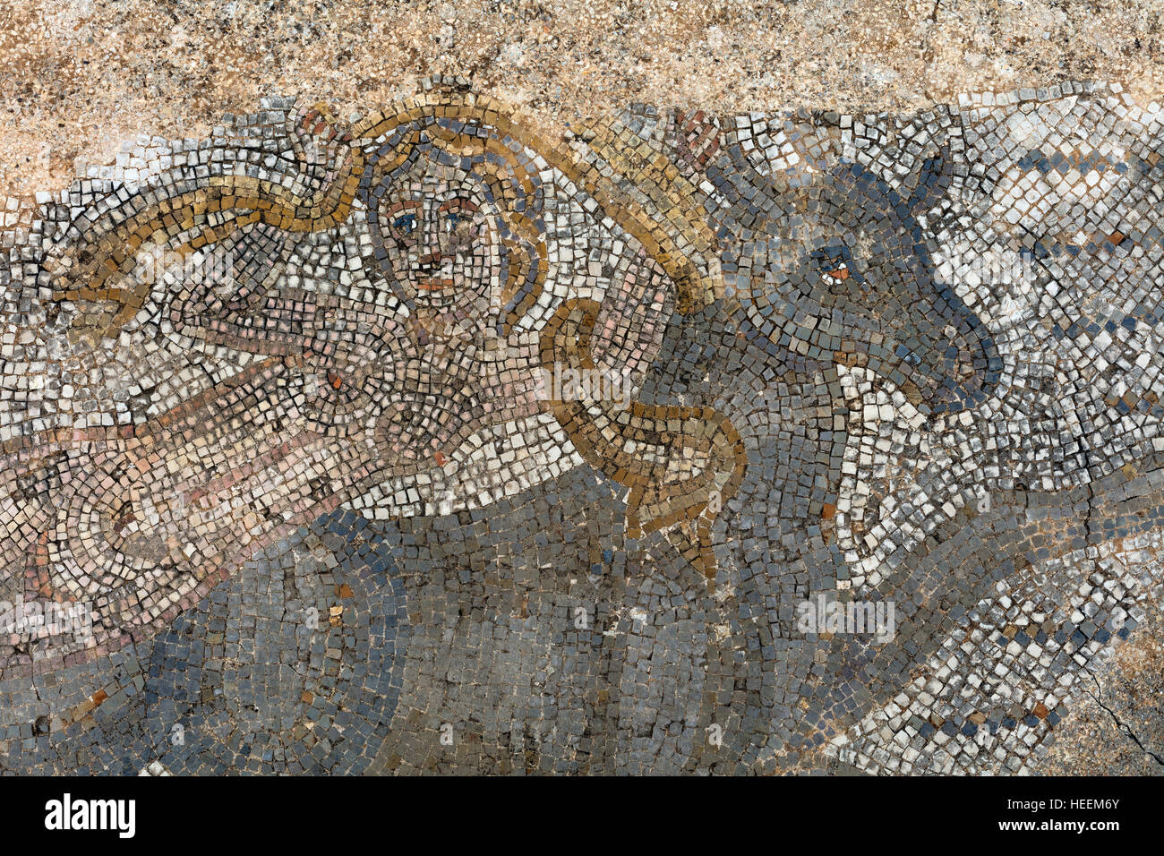 Floor mosaic, Roman ruins, Volubilis, Morocco Stock Photo