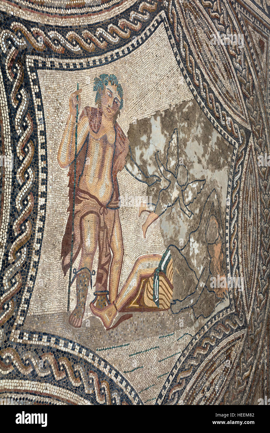 Floor mosaic, Roman ruins, Volubilis, Morocco Stock Photo