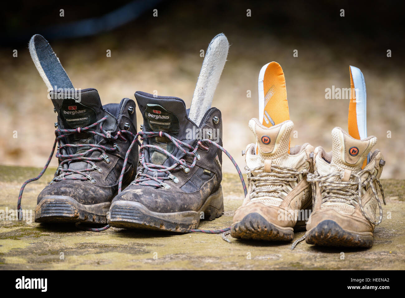 Two sodden soaking wet saturated pairs of walking boots drying out. His and hers. Stock Photo