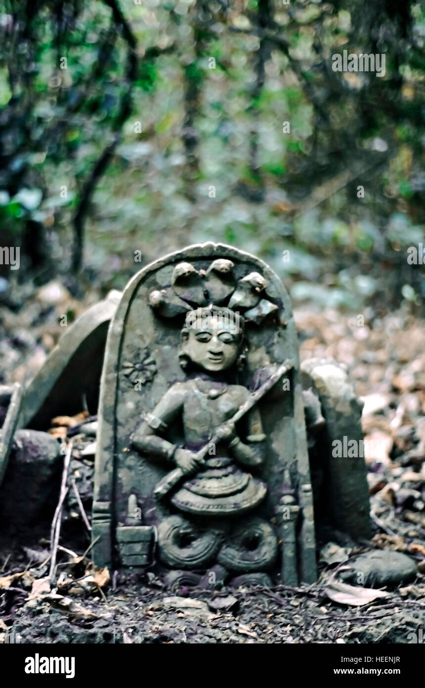 Serpent worship in the sacred groves of southern Karnataka, India Stock