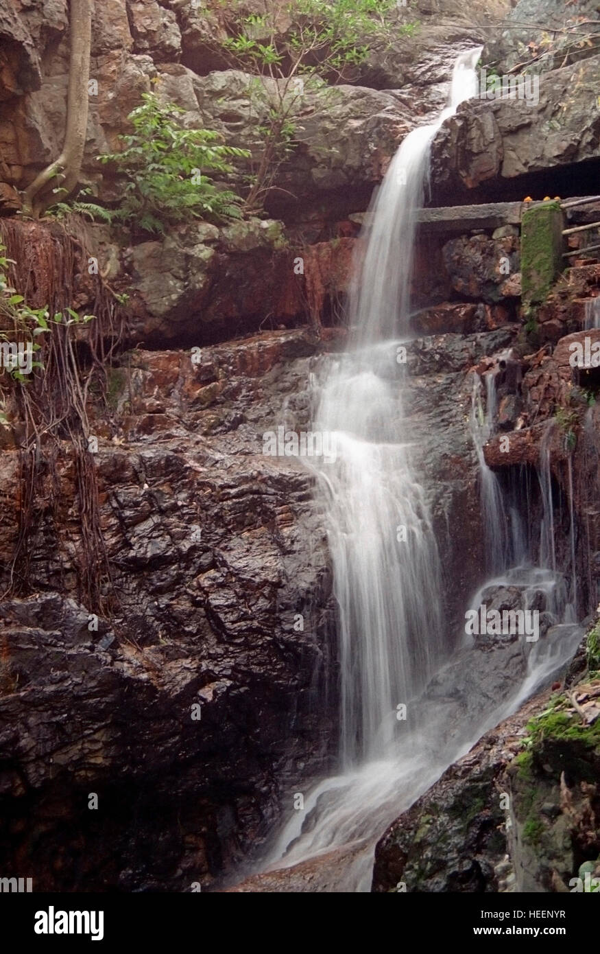 Akash Ganga - Tirumala, Tirupati Temple, Andra Pradesh, India Stock Photo -  Alamy