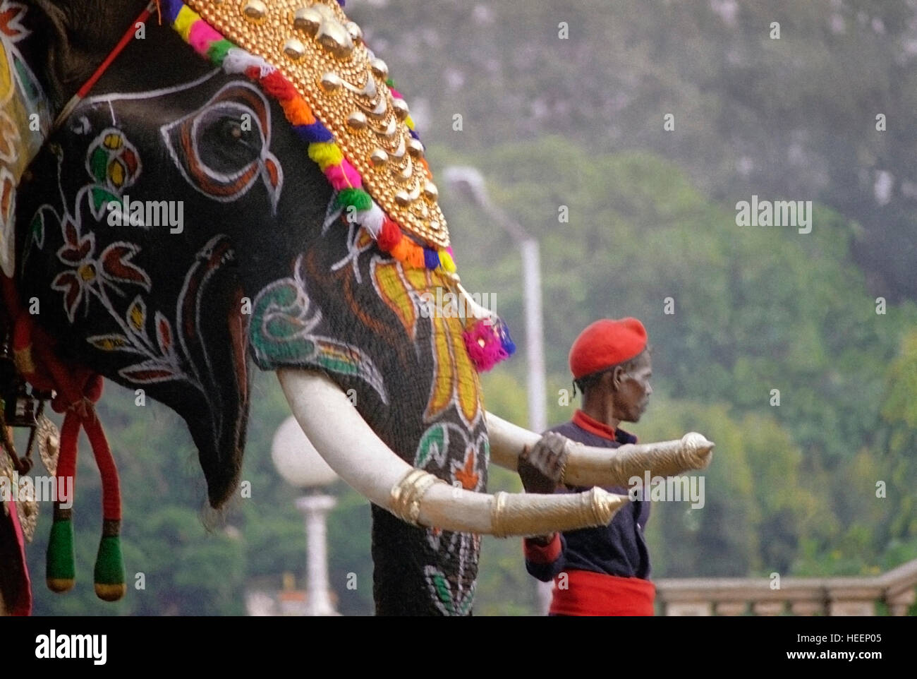 Decorated elephant during dussera festival. Mysore, India Stock Photo