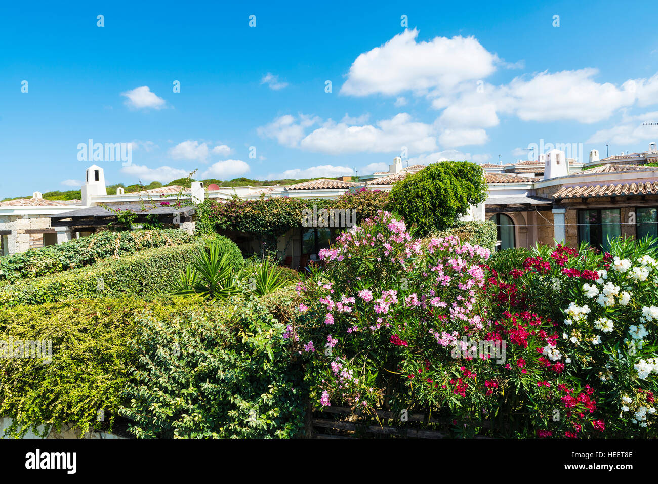 Garden in an urbanization of houses in Sardinia, Italy Stock Photo Alamy