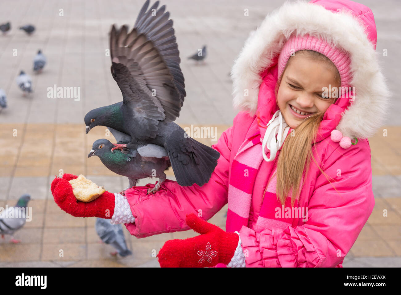The girl dodged pigeons, which are fighting for bread Stock Photo