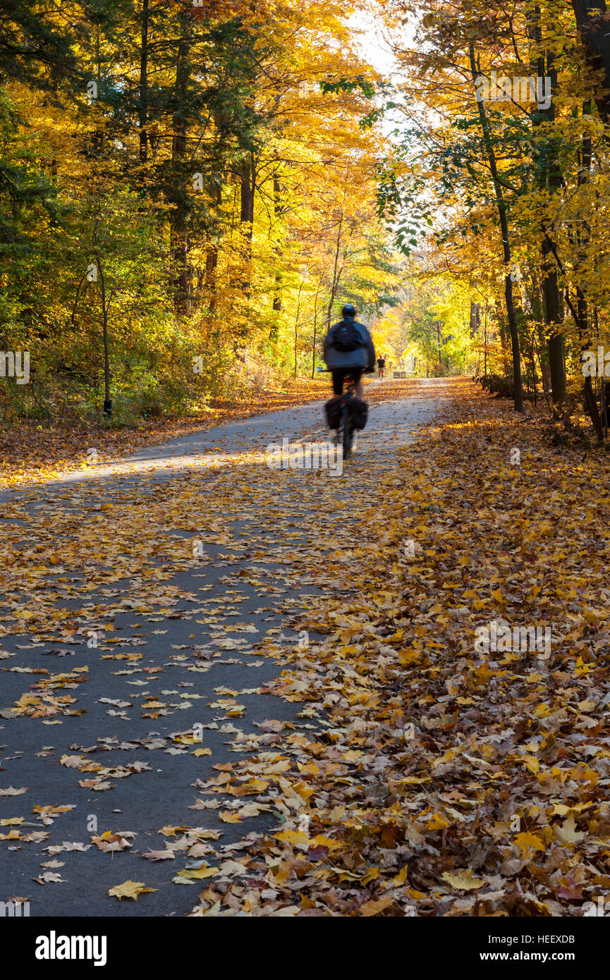 Male cyclist riding a bicycle in a bike path, pedestrian trail/bicycle path, bright colourful Fall foliage, Springbank Park, London, Ontario, Canada. Stock Photo