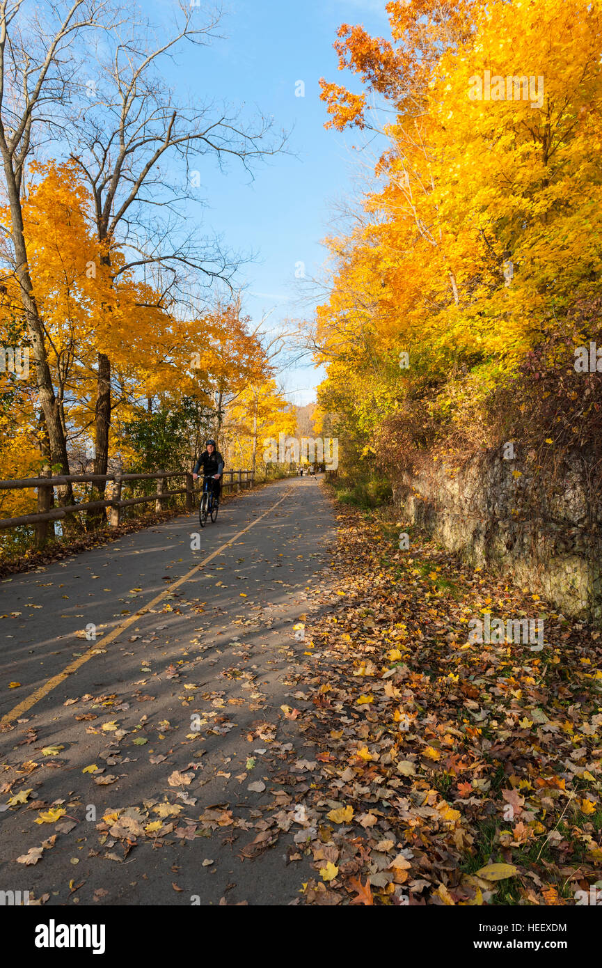 Male cyclist riding a bicycle in a bike path, pedestrian trail/bicycle path, bright colourful Fall foliage, Springbank Park, London, Ontario, Canada. Stock Photo