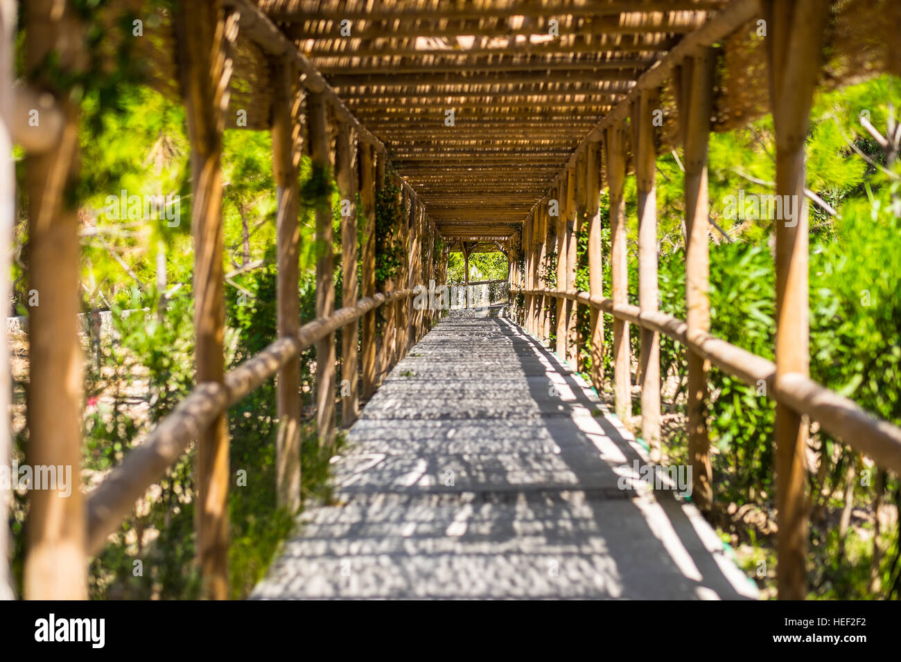 bamboo road Stock Photo Alamy