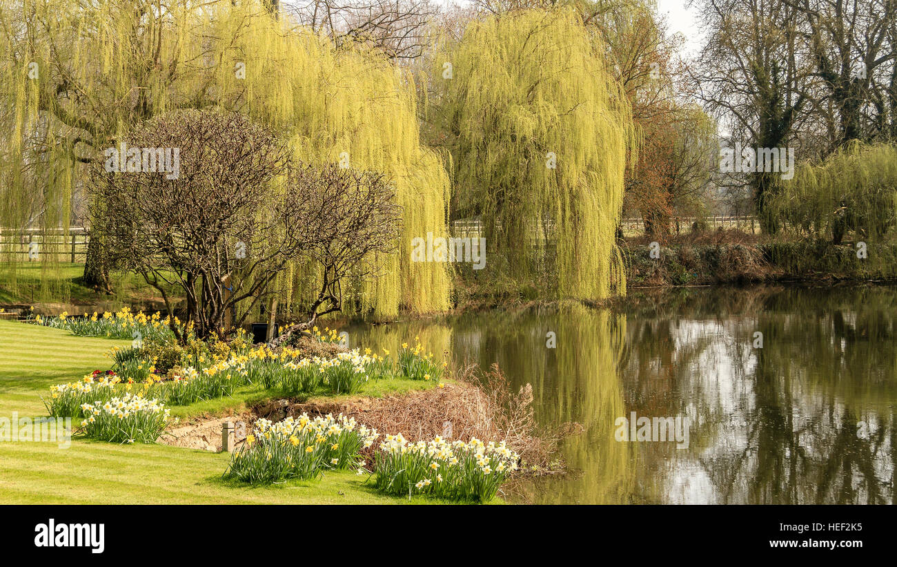 Spring Garden Sonning On Thames UK Stock Photo
