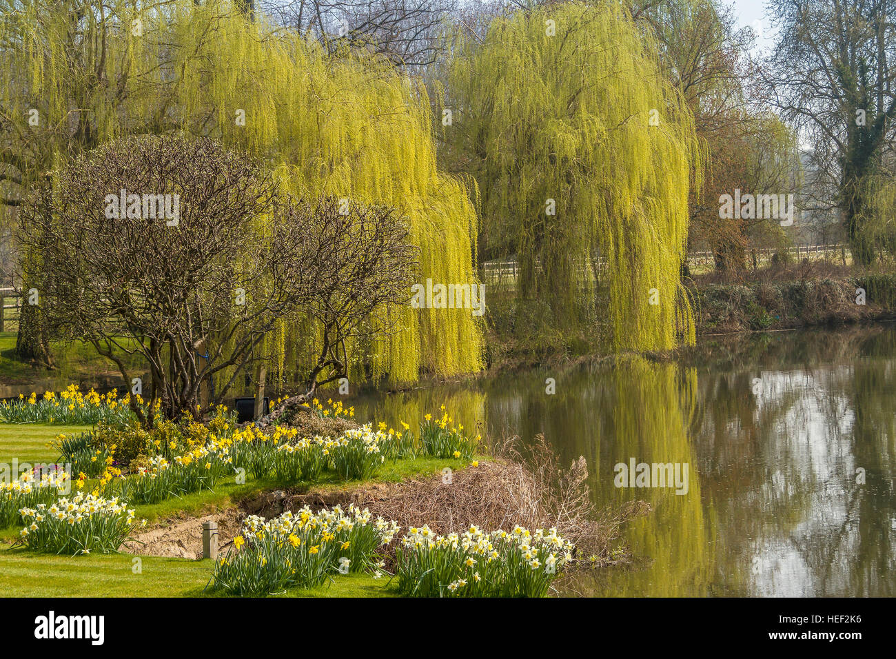 Spring Garden Sonning On Thames UK Stock Photo