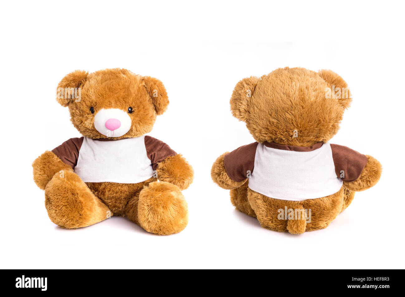 Big toy brown bear isolated on white background Stock Photo