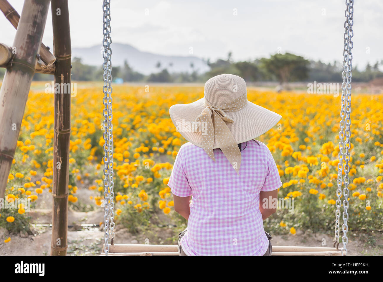 Woman on swing india hi-res stock photography and images - Alamy