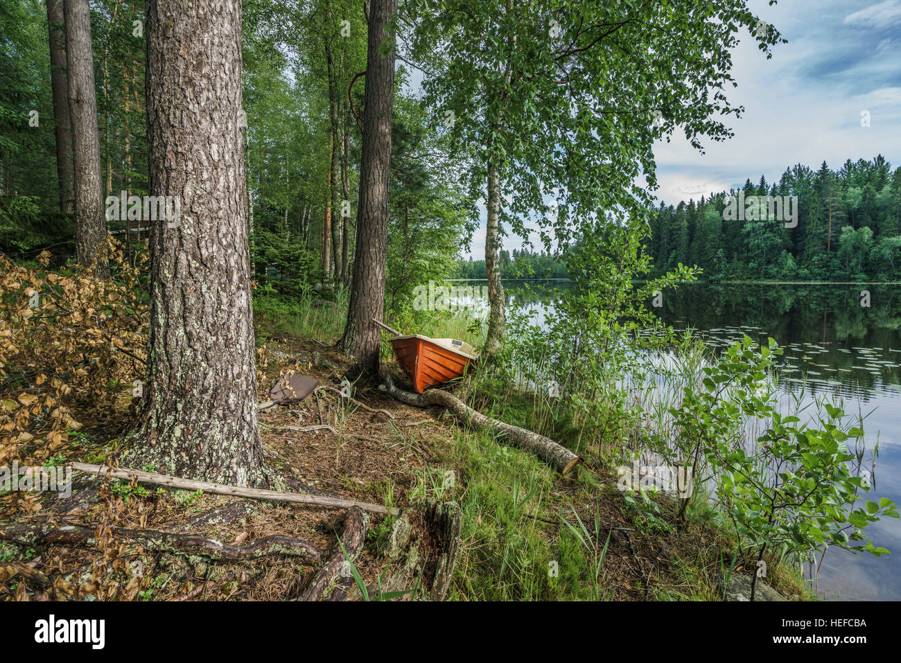 Boat in the forest, Hogland Island, Finland Stock Photo