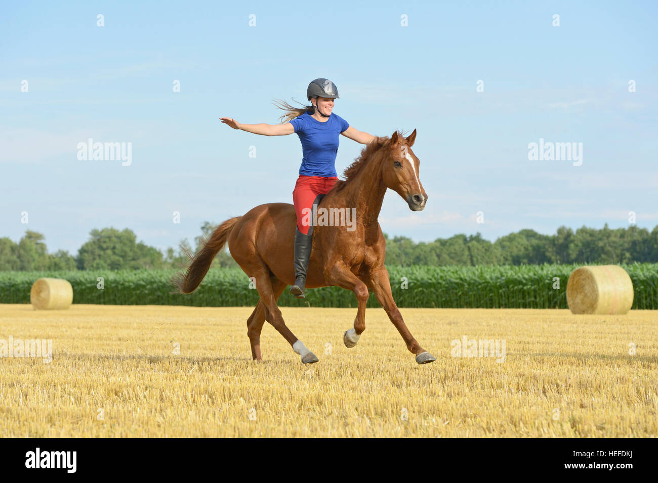 Rider riding canter bareback and frehand on a 19yearold Trakehnen