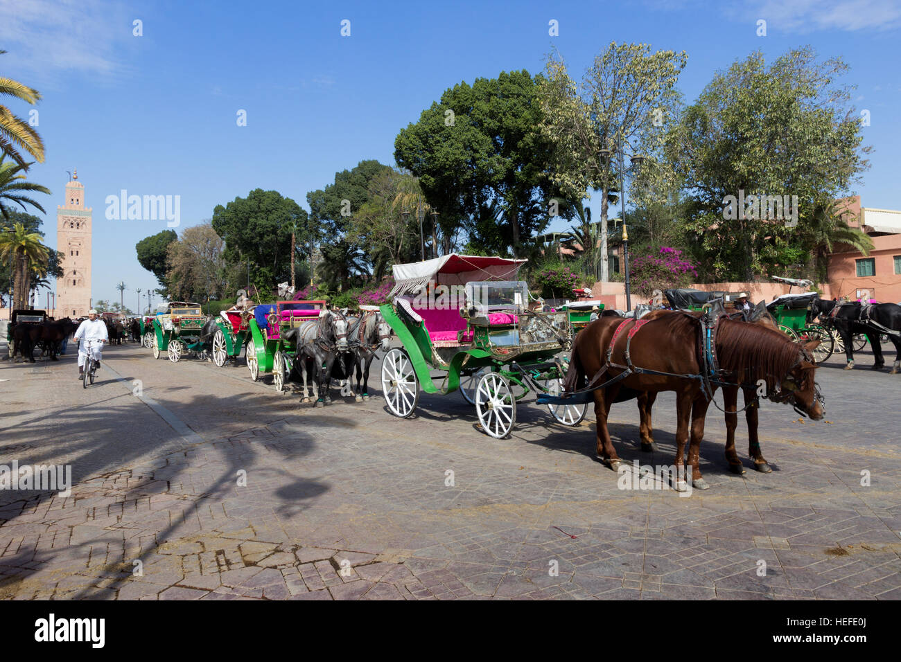 Horse-drawn carriages waiting around Koutoubia mosque for tourists. Marrakech, Morocco. Stock Photo