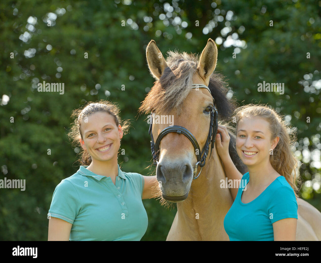 Two girls with a Norwegian Fjord horse Stock Photo Alamy