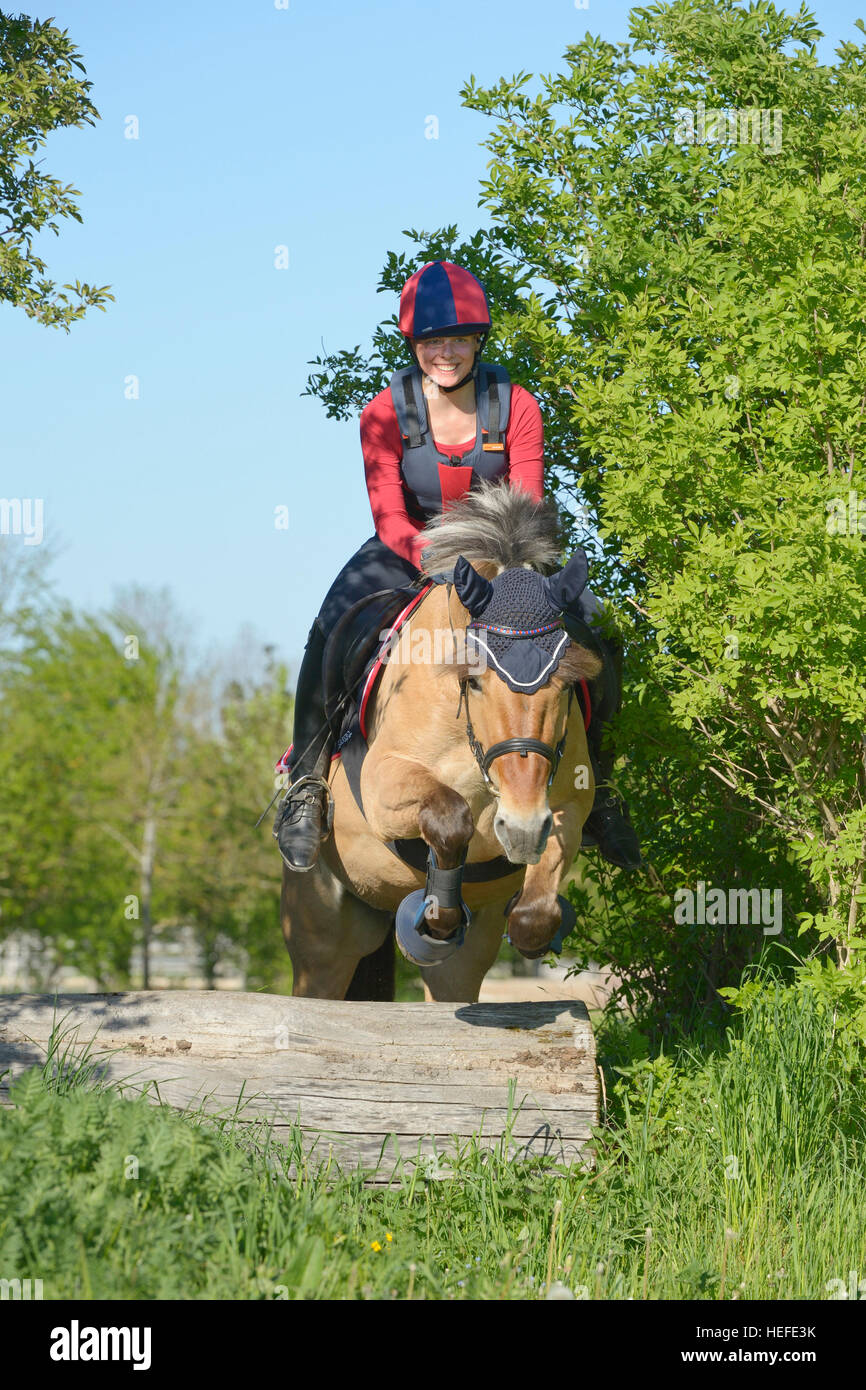 Young rider on back of a Norwegian Fjord horse riding cross country