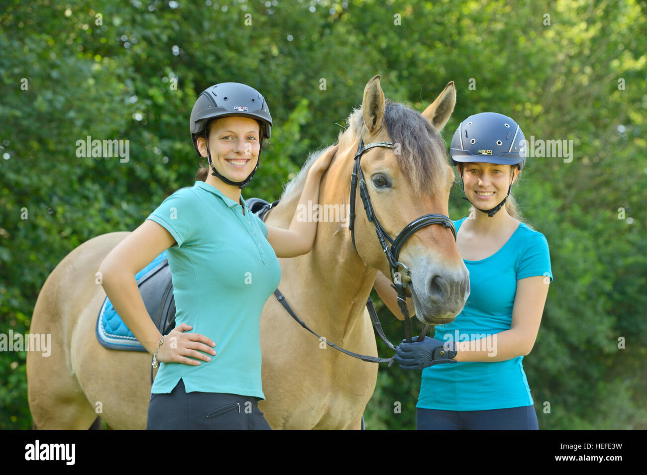 Two girls with a Norwegian Fjord horse Stock Photo Alamy