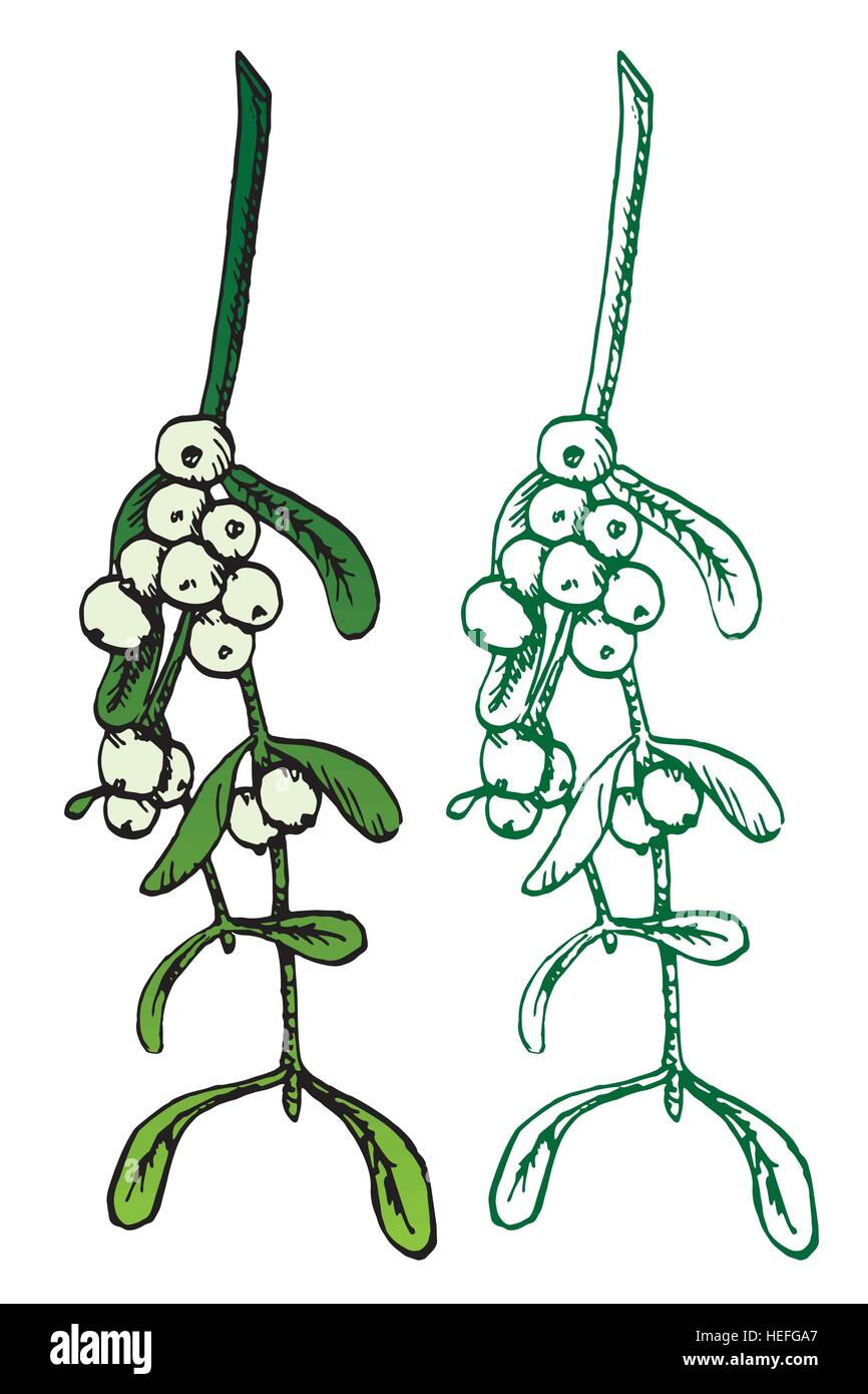 Mistletoe set, hand drawn doodle, sketch in pop art style, vector Stock ...